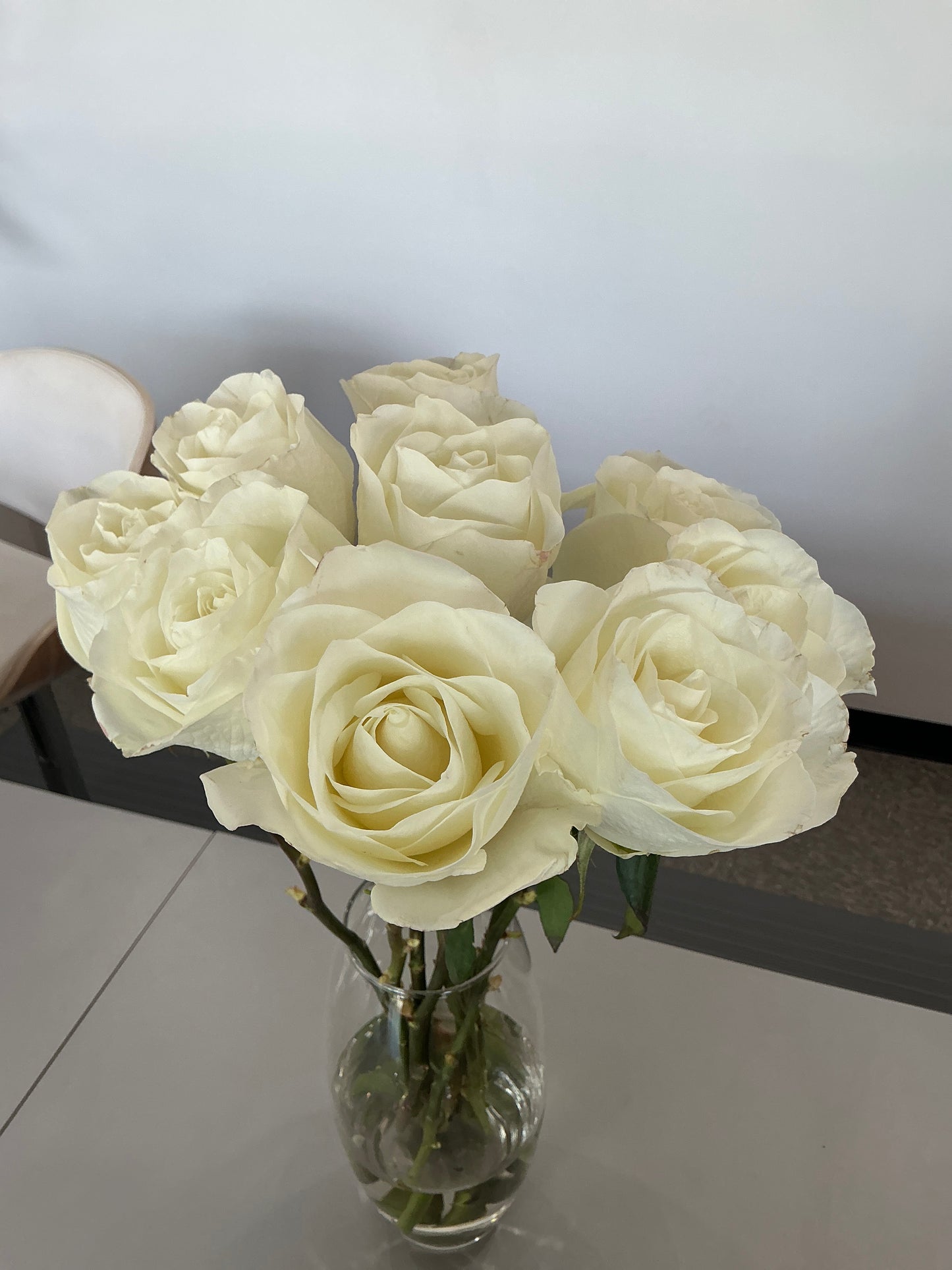 Single Rose