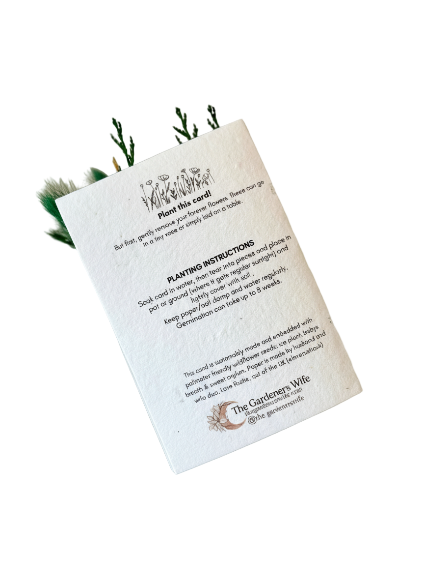 Merry Christmas Wildflower Seed Card