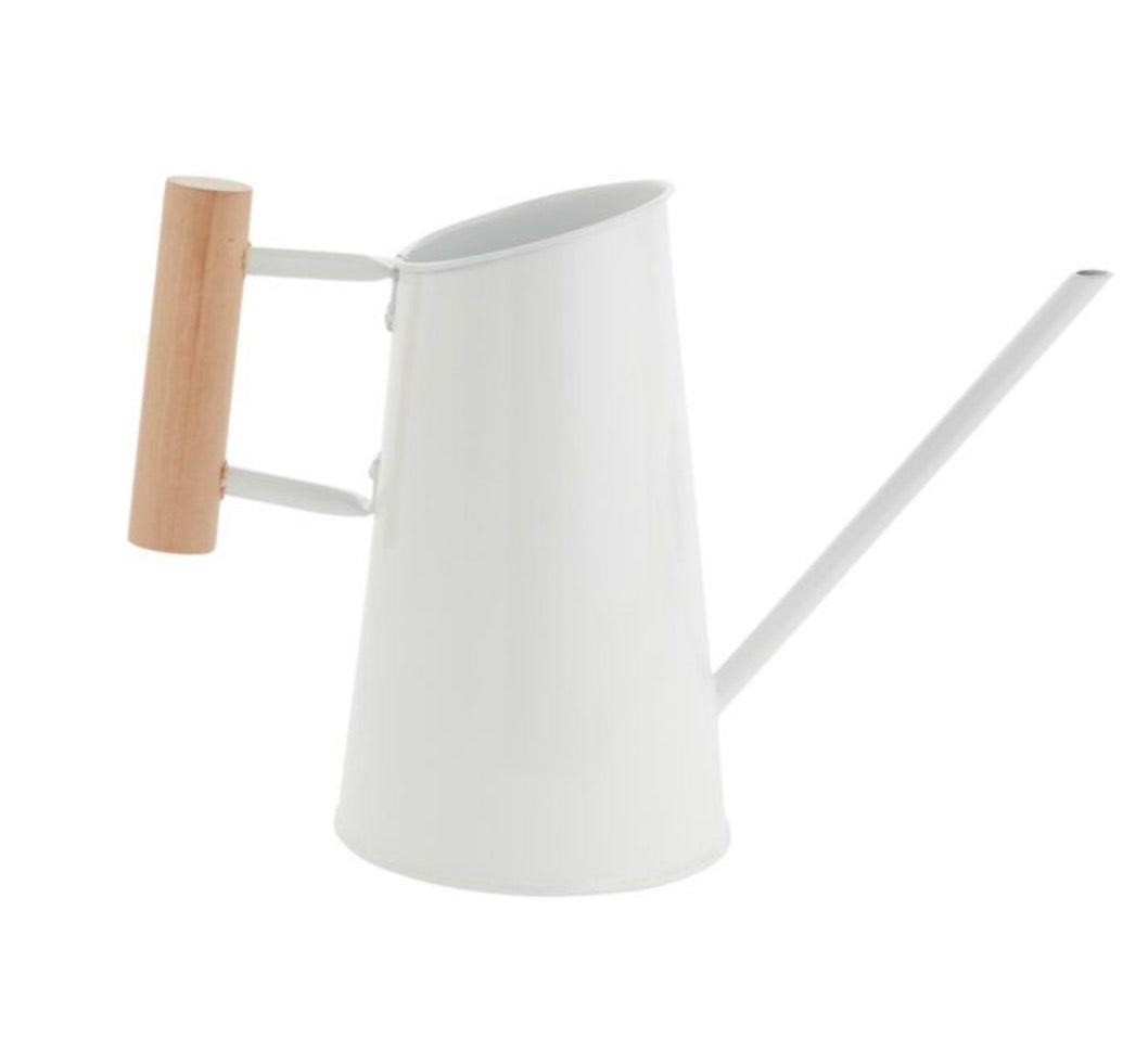 Preston Watering Can