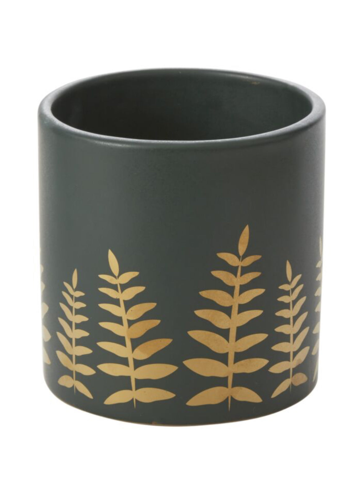 Midwinter Fern Pot