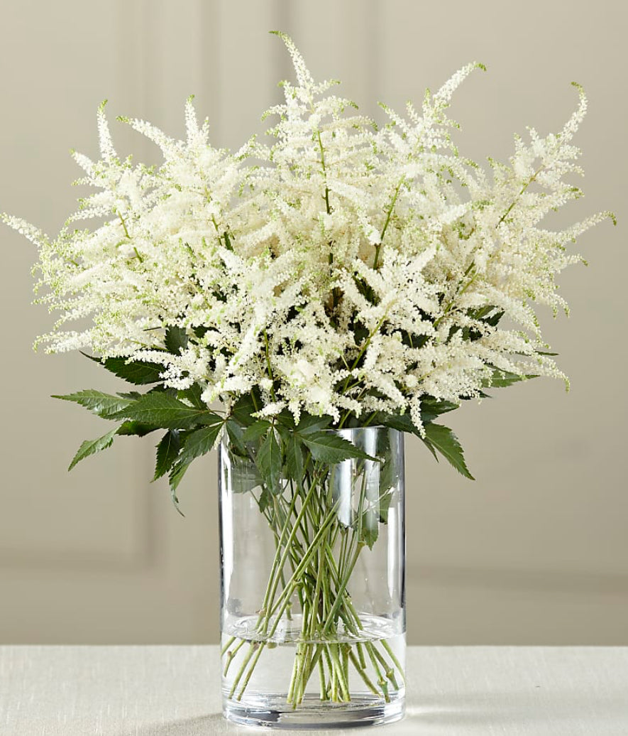 Astilbe Flower