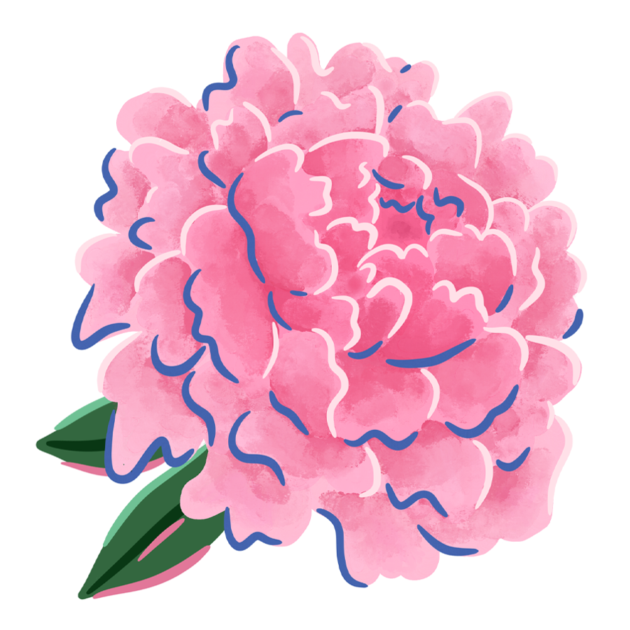Peony Sticker