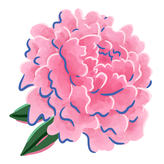 Peony Sticker