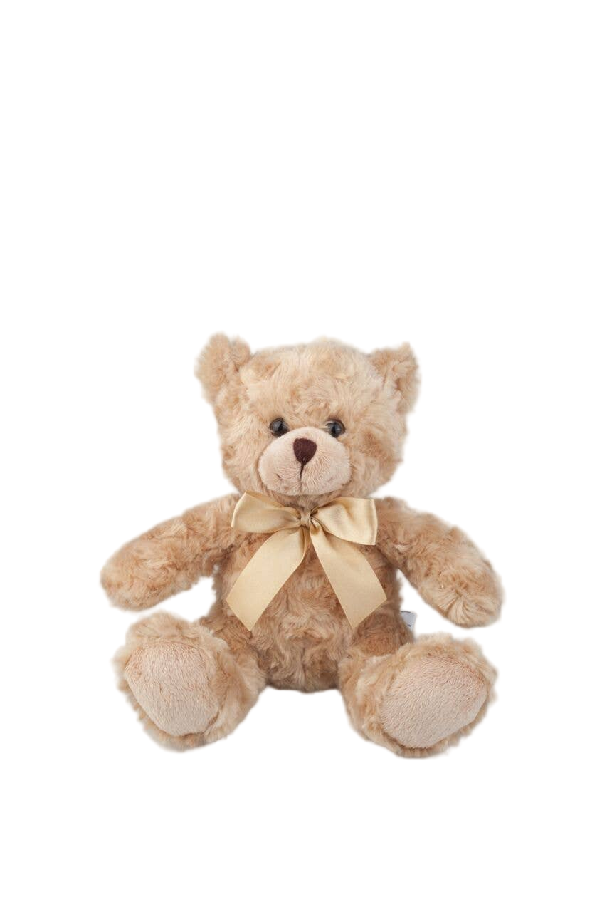 Bear Collection | 6”