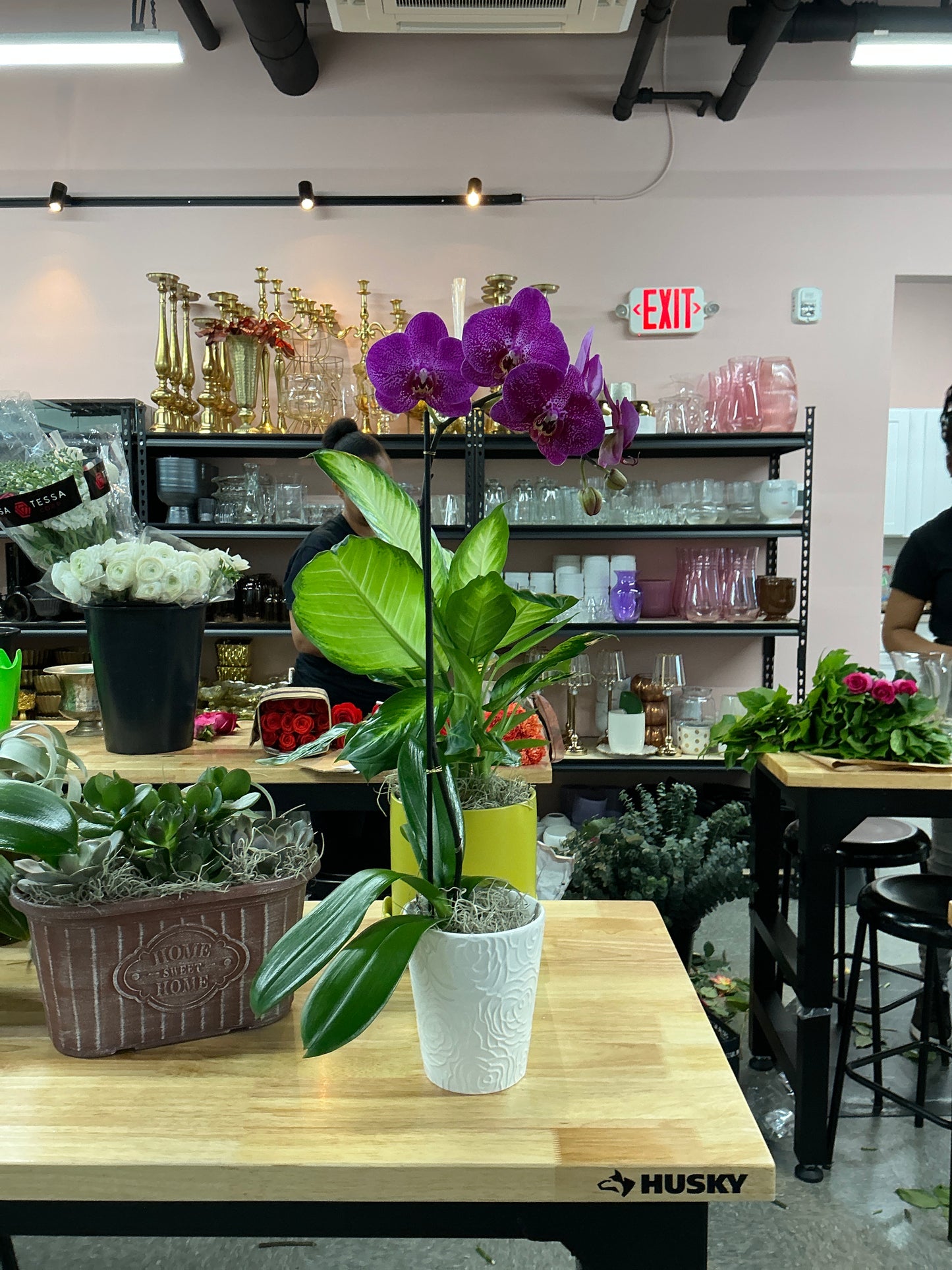 Orchid Plant - Purple (Single Stem)