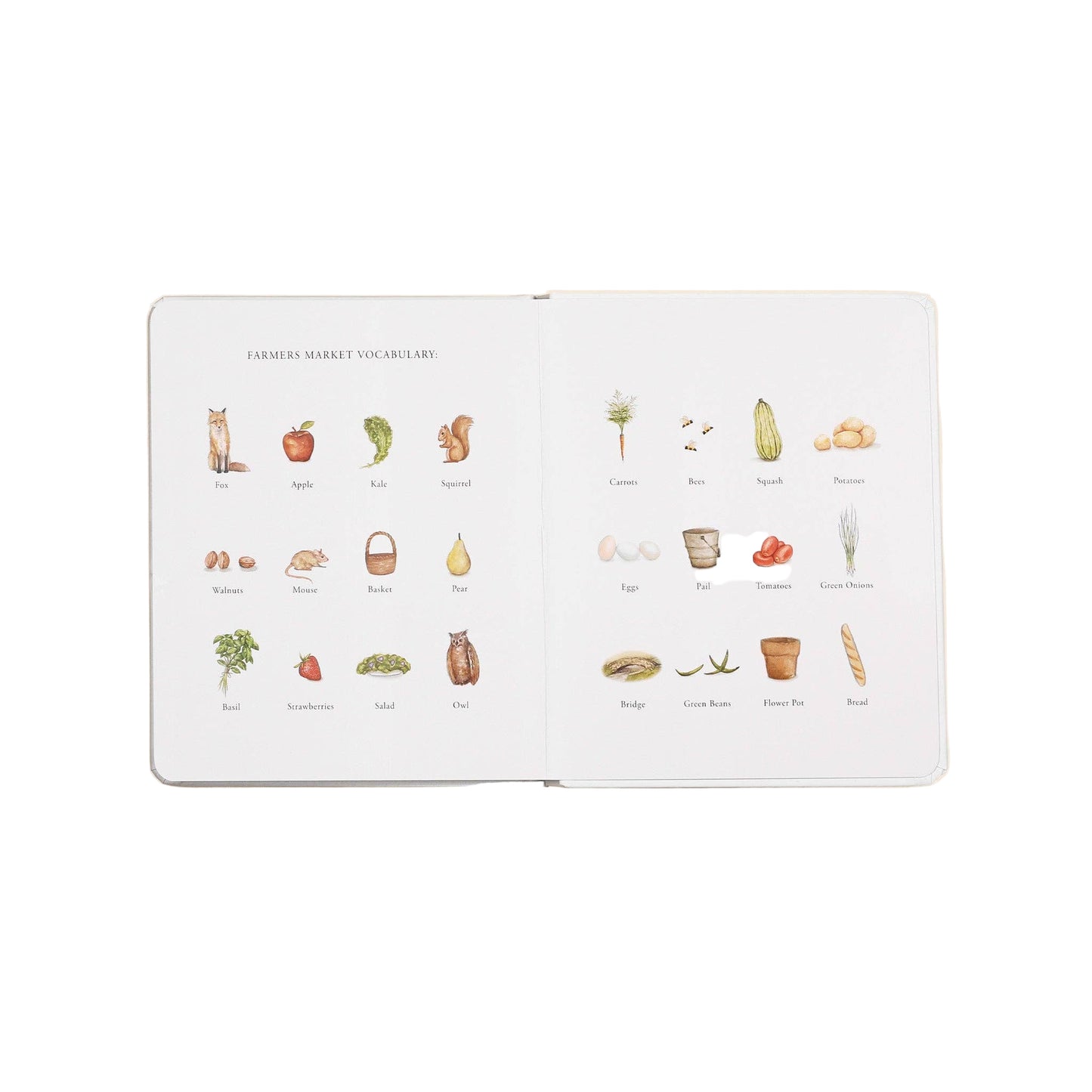 Our Little Adventure to the Farmers Market (Board Book)