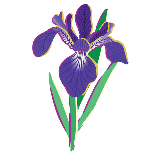 Iris Sticker