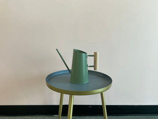 Small Watering Can - Green
