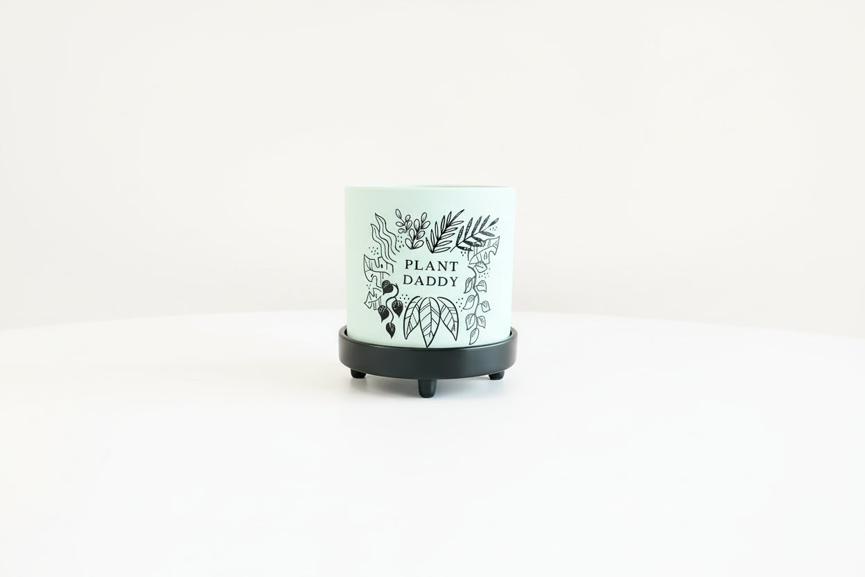 Plant Daddy Pot W/ Saucer