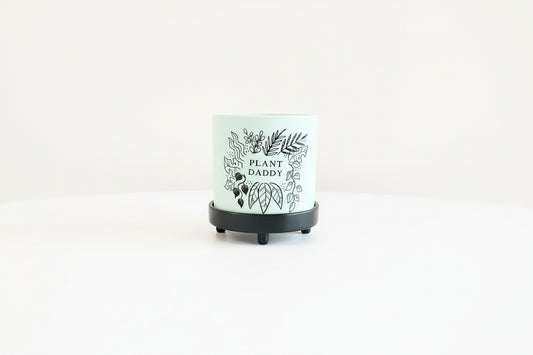 Plant Daddy Pot W/ Saucer