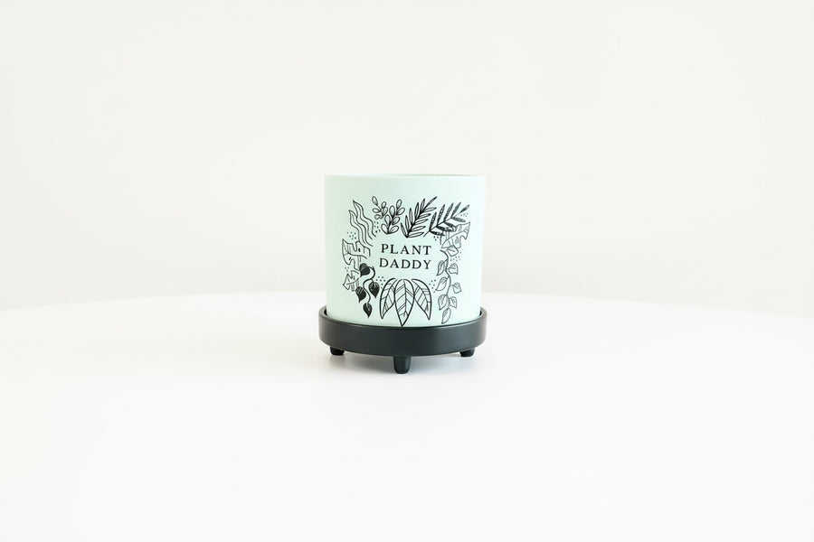 Plant Daddy Pot W/ Saucer