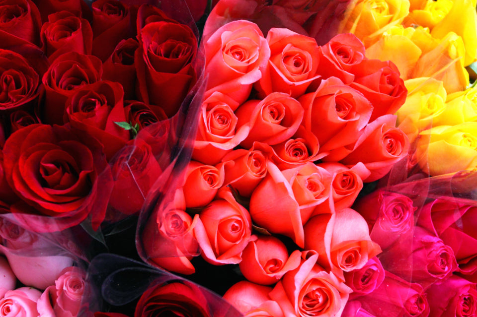 Rose Bunch - 6 stems