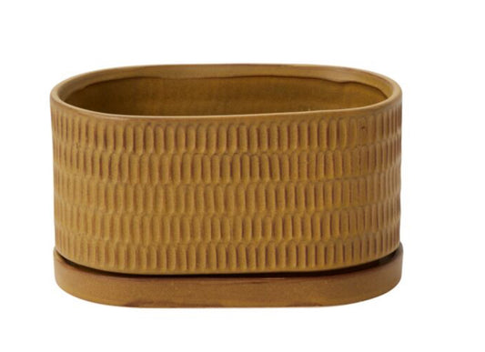 Zelle Succulent Planter w/ Saucer