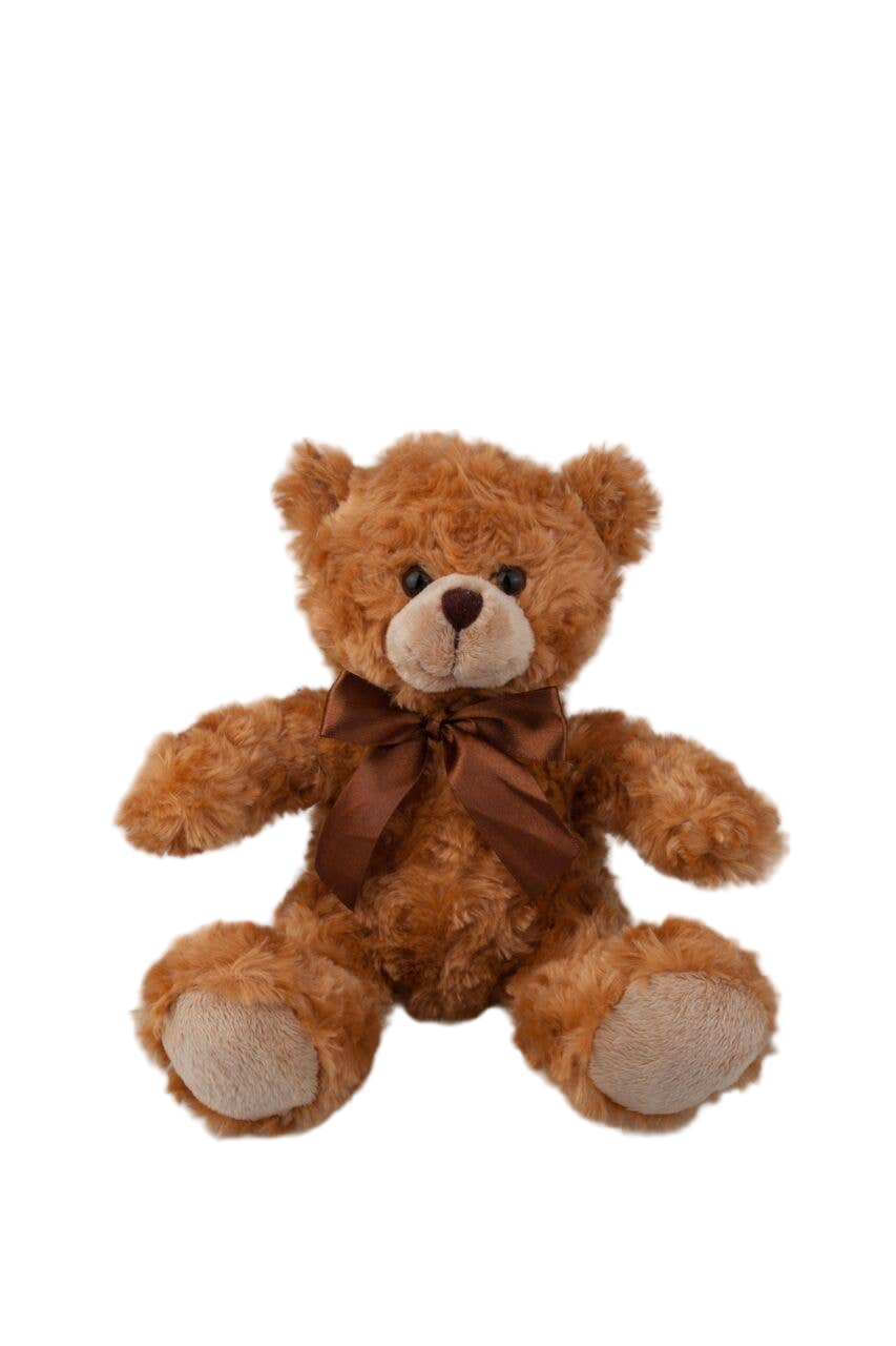 Bear Collection | 6”