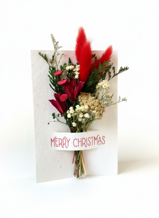 Merry Christmas Wildflower Seed Card