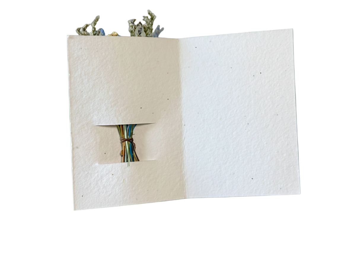 Merry Christmas Wildflower Seed Card