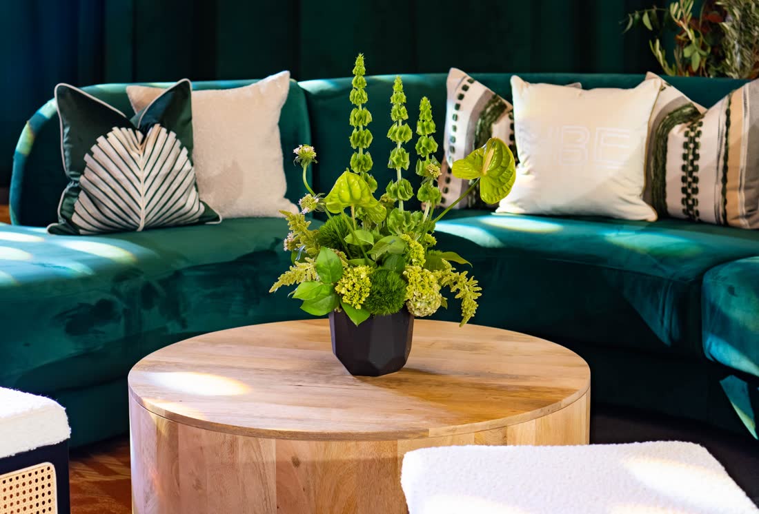 Velvet lounge vignette dressed in greens and rust