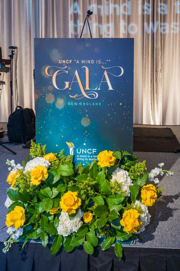 Gold Standard — the UNCF Gala, photo 3 of 10