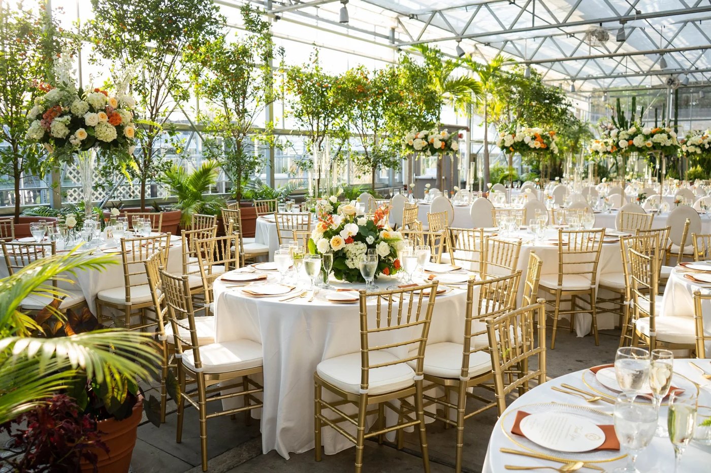 The greenhouse reception, gold chiavari and garden florals